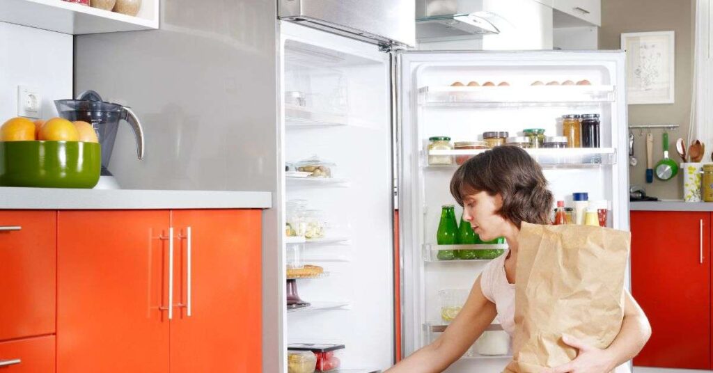 10 Best Double Door Refrigerator in India